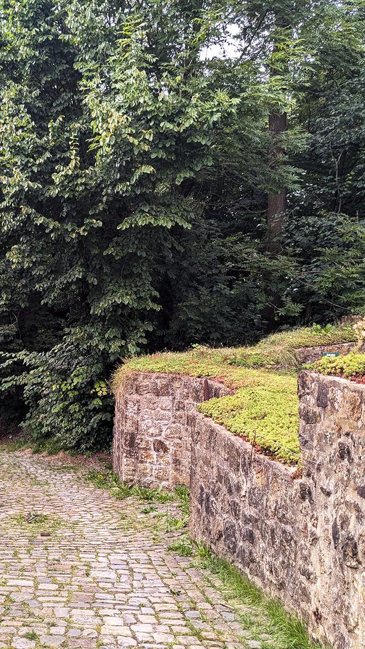 bg_Anfaenge_Burg_Ravensberg