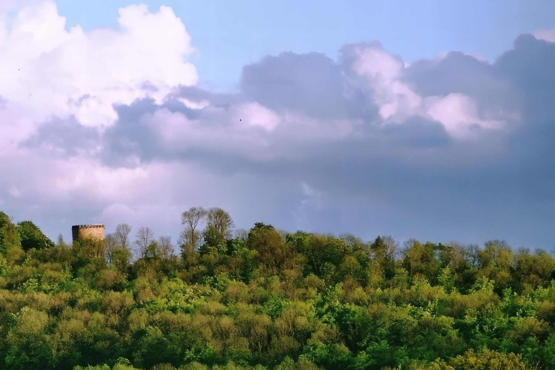 Community Background Picture